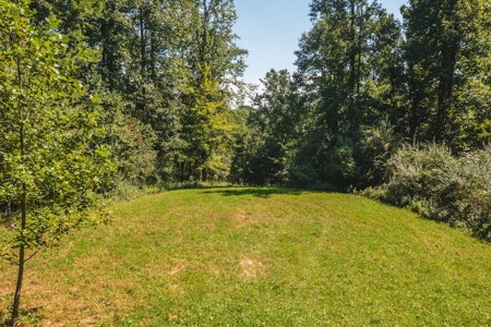 Offering #4 - Wooded Land for Sale in Riner VA - image 3