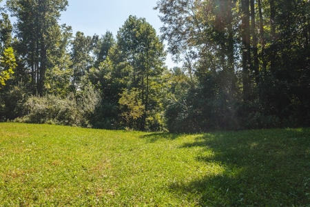 Offering #4 - Wooded Land for Sale in Riner VA - image 2