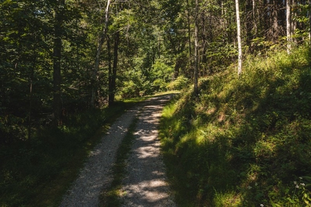 Offering #4 - Wooded Land for Sale in Riner VA - image 10