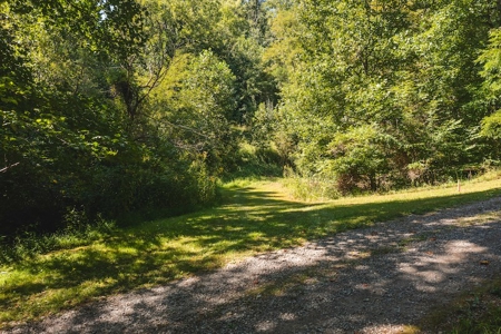Offering #4 - Wooded Land for Sale in Riner VA - image 12