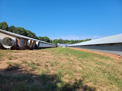 Poultry Farm for Sale in Dobson NC - image 33