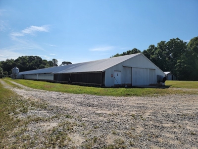 Poultry Farm for Sale in Dobson NC - image 22