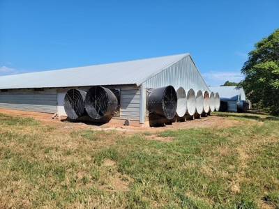 Poultry Farm for Sale in Dobson NC - image 31