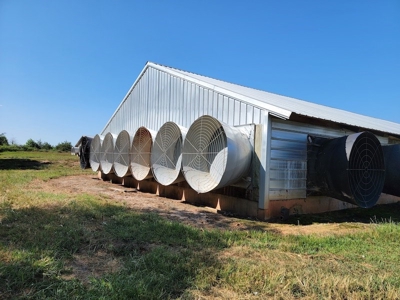 Poultry Farm for Sale in Dobson NC - image 30