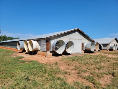 Poultry Farm for Sale in Dobson NC - image 37
