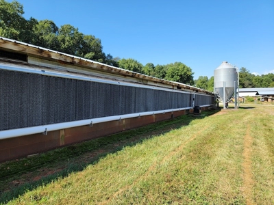 Poultry Farm for Sale in Dobson NC - image 39