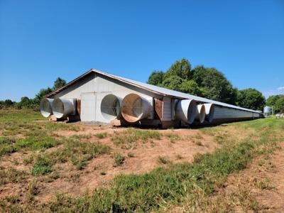 Poultry Farm for Sale in Dobson NC - image 34