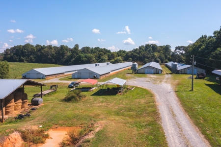 Poultry Farm for Sale in Dobson NC - image 4