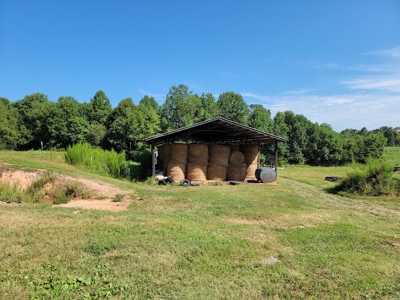 Poultry Farm for Sale in Dobson NC - image 44
