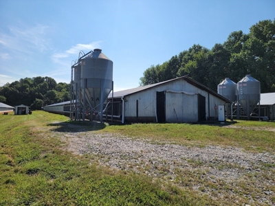 Poultry Farm for Sale in Dobson NC - image 20