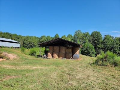 Poultry Farm for Sale in Dobson NC - image 41