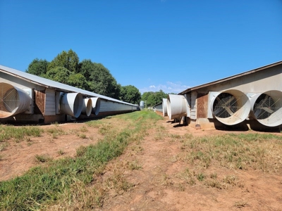 Poultry Farm for Sale in Dobson NC - image 35