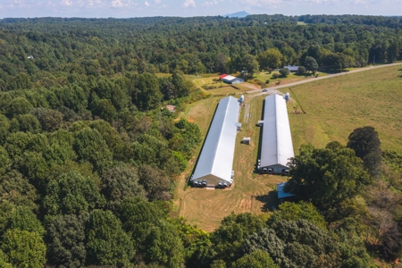 Poultry Farm for Sale in Dobson NC - image 6