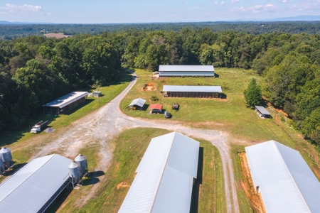 Poultry Farm for Sale in Dobson NC - image 11