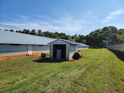Poultry Farm for Sale in Dobson NC - image 38