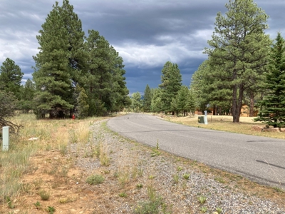 Lot For Sale In Ridgway, Colorado - image 10