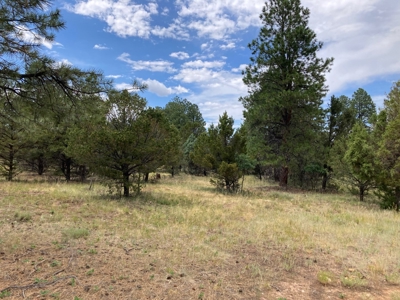 Lot For Sale In Ridgway, Colorado - image 3