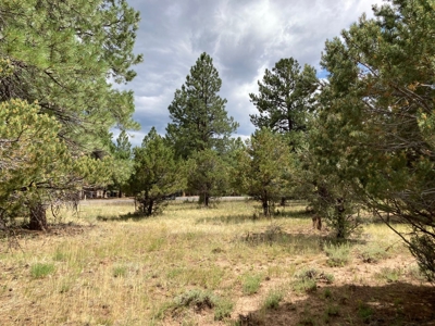 Lot For Sale In Ridgway, Colorado - image 7