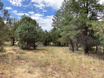 Lot For Sale In Ridgway, Colorado - image 5