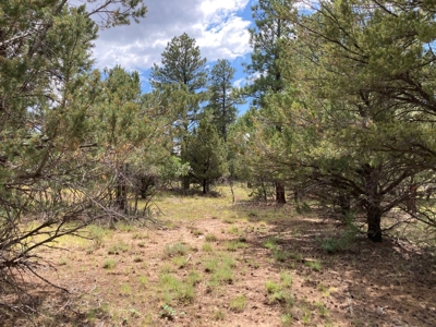 Lot For Sale In Ridgway, Colorado - image 6