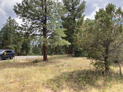 Lot For Sale In Ridgway, Colorado - image 8