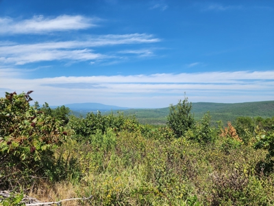 48.5 Acre Off-Grid Cabin Building Location – Owner Financing - image 14