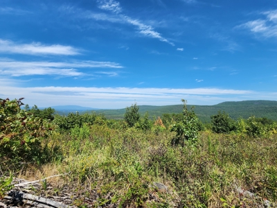 48.5 Acre Off-Grid Cabin Building Location – Owner Financing - image 16