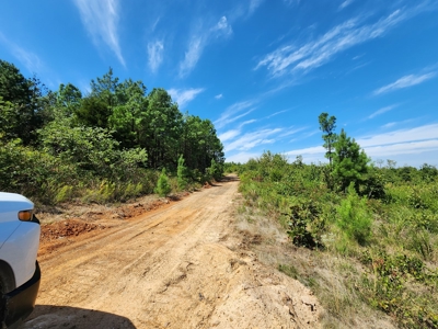 48.5 Acre Off-Grid Cabin Building Location – Owner Financing - image 5