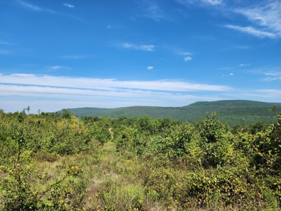 48.5 Acre Off-Grid Cabin Building Location – Owner Financing - image 11