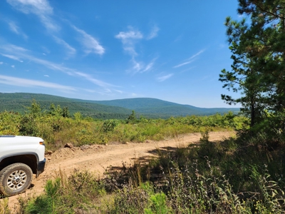 48.5 Acre Off-Grid Cabin Building Location – Owner Financing - image 3