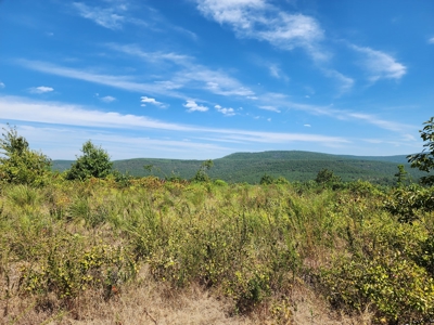 48.5 Acre Off-Grid Cabin Building Location – Owner Financing - image 4