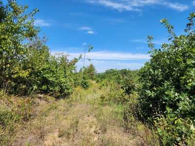 48.5 Acre Off-Grid Cabin Building Location – Owner Financing - image 6
