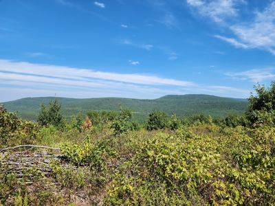 48.5 Acre Off-Grid Cabin Building Location – Owner Financing - image 12
