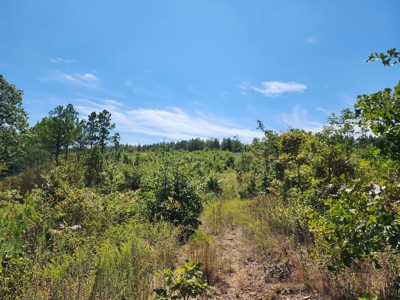 48.5 Acre Off-Grid Cabin Building Location – Owner Financing - image 10