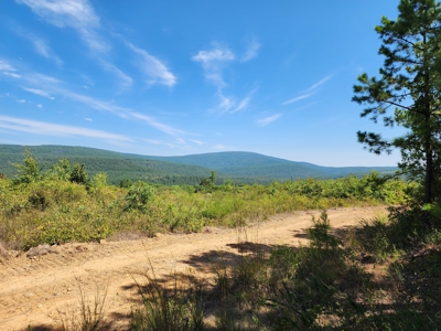 48.5 Acre Off-Grid Cabin Building Location – Owner Financing - image 1