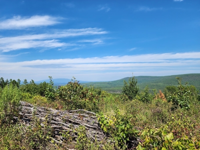 48.5 Acre Off-Grid Cabin Building Location – Owner Financing - image 13