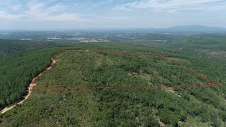 48.5 Acre Off-Grid Cabin Building Location – Owner Financing - image 2