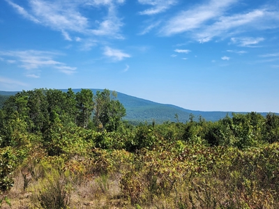 48.5 Acre Off-Grid Cabin Building Location – Owner Financing - image 18