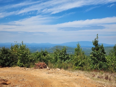 48.5 Acre Off-Grid Cabin Building Location – Owner Financing - image 17