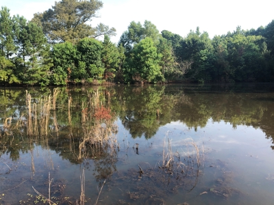 Beautiful Ranchland, Recreational / Hunting in Rusk County - image 3