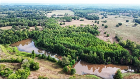 Beautiful Ranchland, Recreational / Hunting in Rusk County - image 8