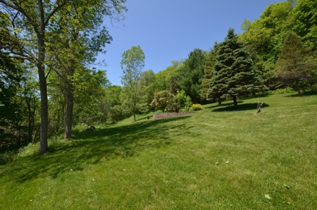Country Custom Built Home on on 3.01 Acres Soldiers Grove - image 10