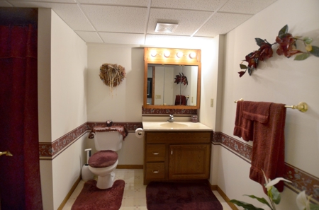 Country Custom Built Home on on 3.01 Acres Soldiers Grove - image 31