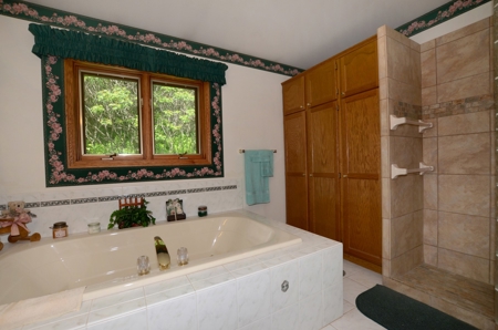Country Custom Built Home on on 3.01 Acres Soldiers Grove - image 20