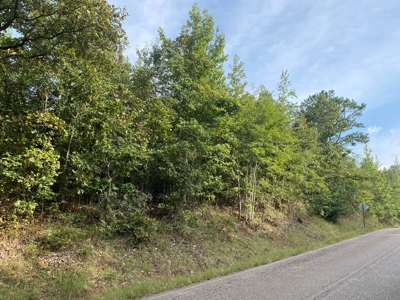 Land For Sale In Tn, 6.25 Acres+/-, Paved Rd Front - image 4