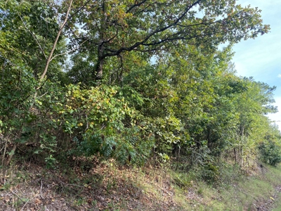 Land For Sale In Tn, 6.25 Acres+/-, Paved Rd Front - image 3