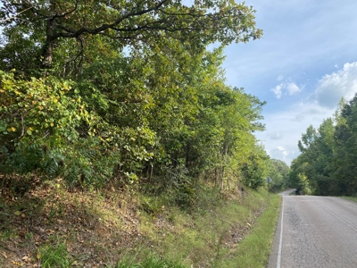 Land For Sale In Tn, 6.25 Acres+/-, Paved Rd Front - image 1