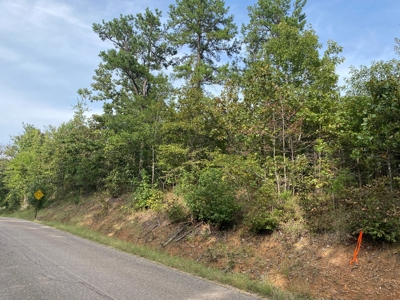 Land For Sale In Tn, 6.25 Acres+/-, Paved Rd Front - image 10