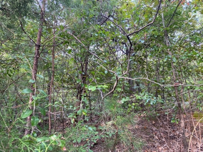 Land For Sale In Tn, 6.25 Acres+/-, Paved Rd Front - image 12