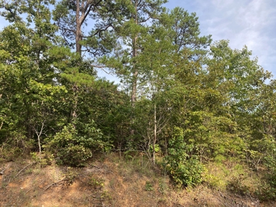 Land For Sale In Tn, 6.25 Acres+/-, Paved Rd Front - image 8